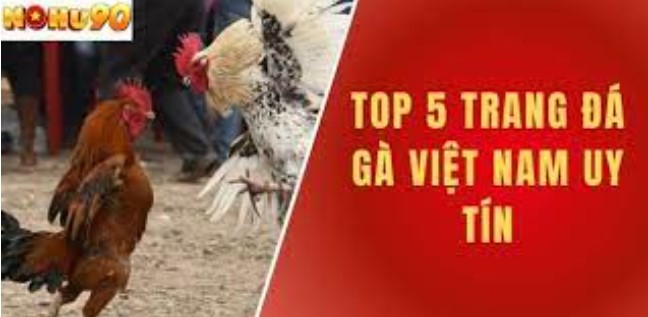 Những loại hình đá gà Nohu90 phổ biến hiện nay
